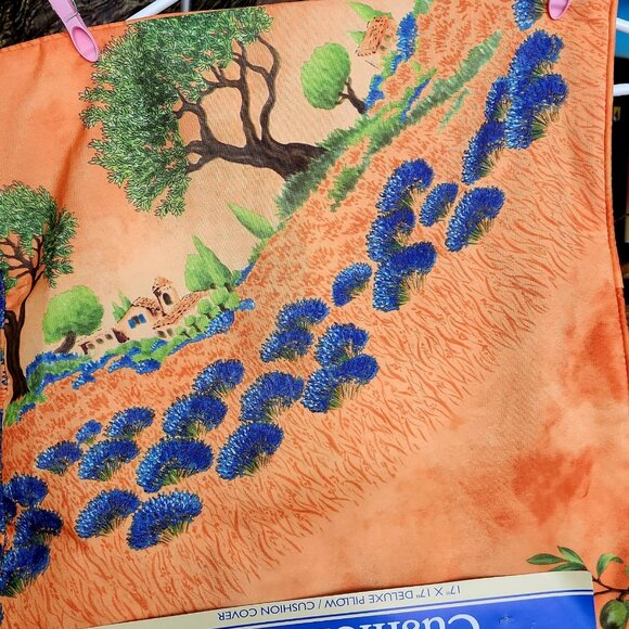 G20 B'ful cushion covers, way to dress up a room, 17x17 I have 2 - price is each - Picture 2 of 5